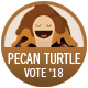 Vote_2018 badge