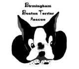 Birmingham Boston Terrier Rescue logo