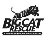 Big Cat Rescue logo