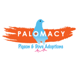 Palomacy logo