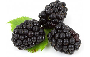 blackberry