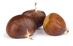 chestnut