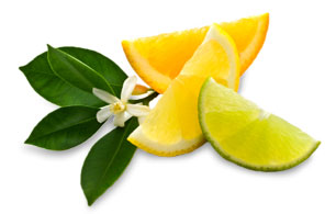 green rooibos citron