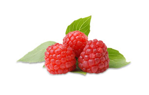 raspberry