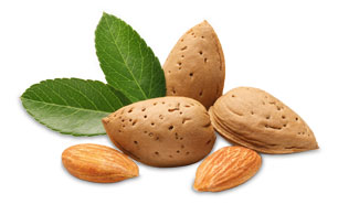 rooibos almond