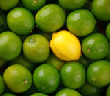 ingredient