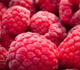 ingredient