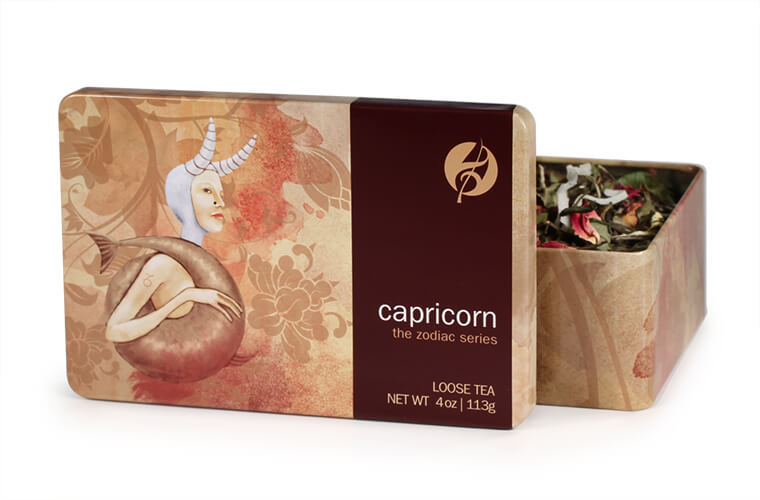 capricorn capricorn
