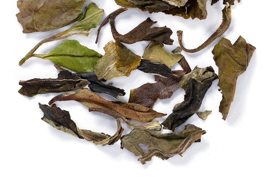 white peony tea white peony tea