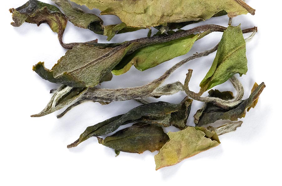 white symphony tea white symphony tea