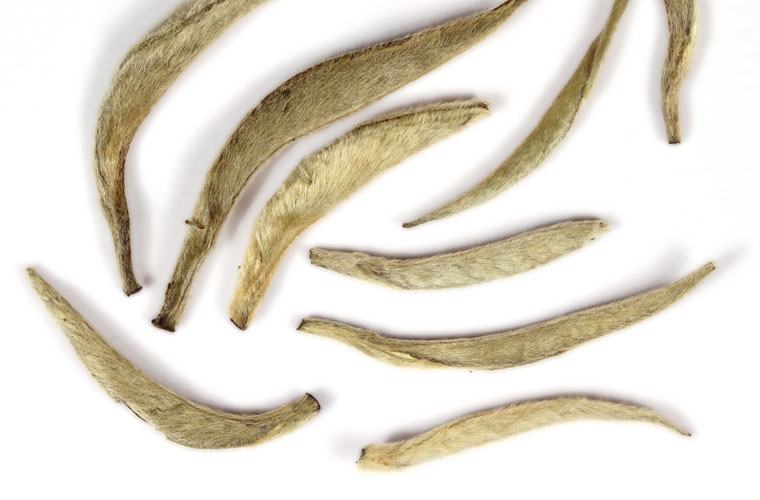 yunnan pu erh white tea yunnan pu erh white tea