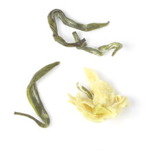 bi tan piao xue (snow drop jasmine) delicate tea