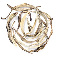 jasmine silver needle tea