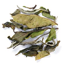 white symphony tea