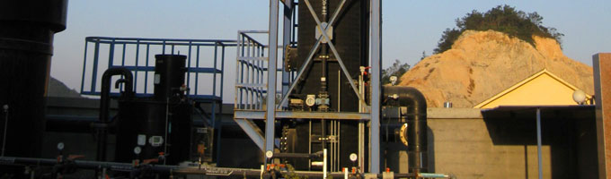 carbon offset