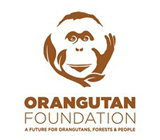 Orangutan Found... logo