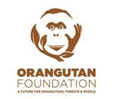 Orangutan Foundation logo