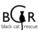Black Cat Rescue  logo