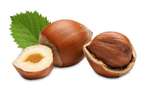 Image result for hazelnut