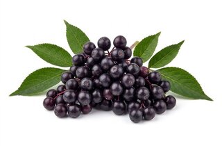 elderberry wine