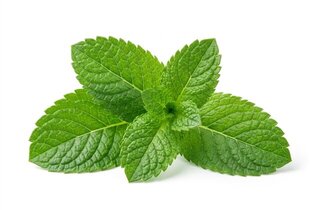 peppermint