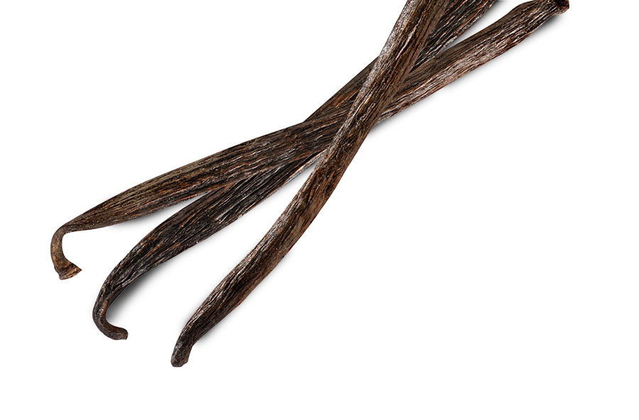 Adagio Teas Wholesale Vanilla Bean Whole