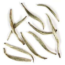 fujian silver needle tea
