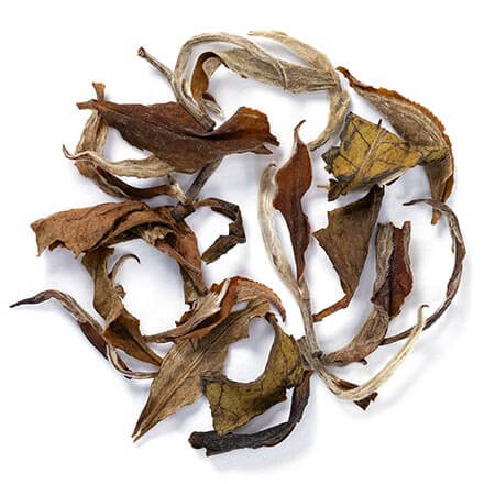 white darjeeling