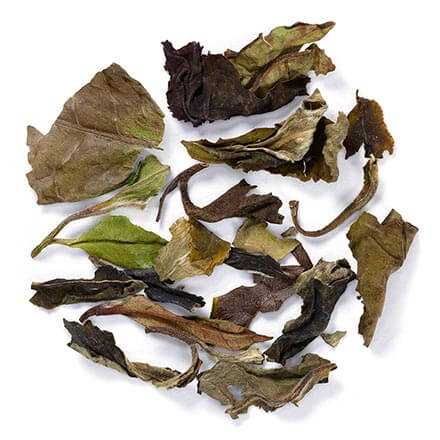 White Peony Tea 1oz