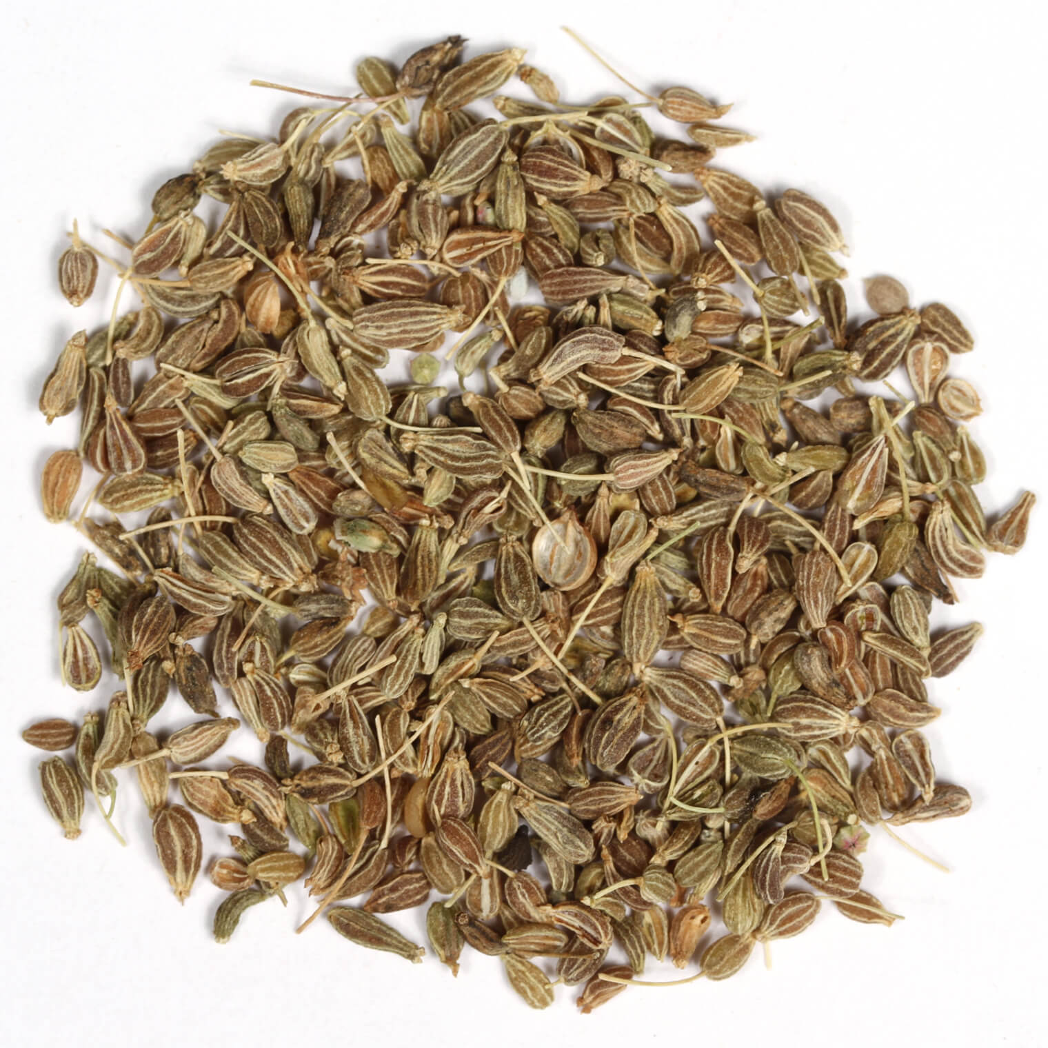 Anise Seed Whole 5oz