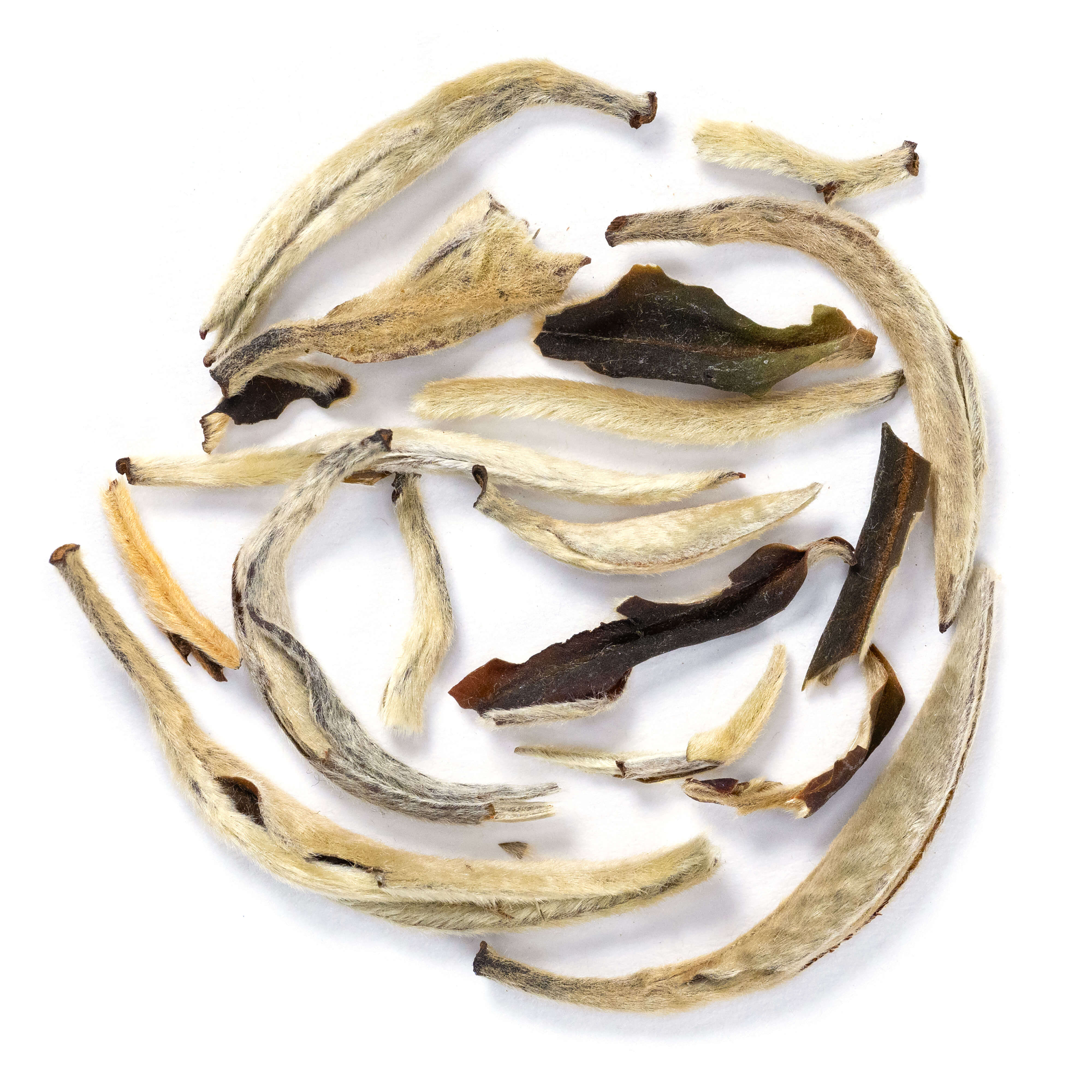 Silver Needle Tea 1.5oz