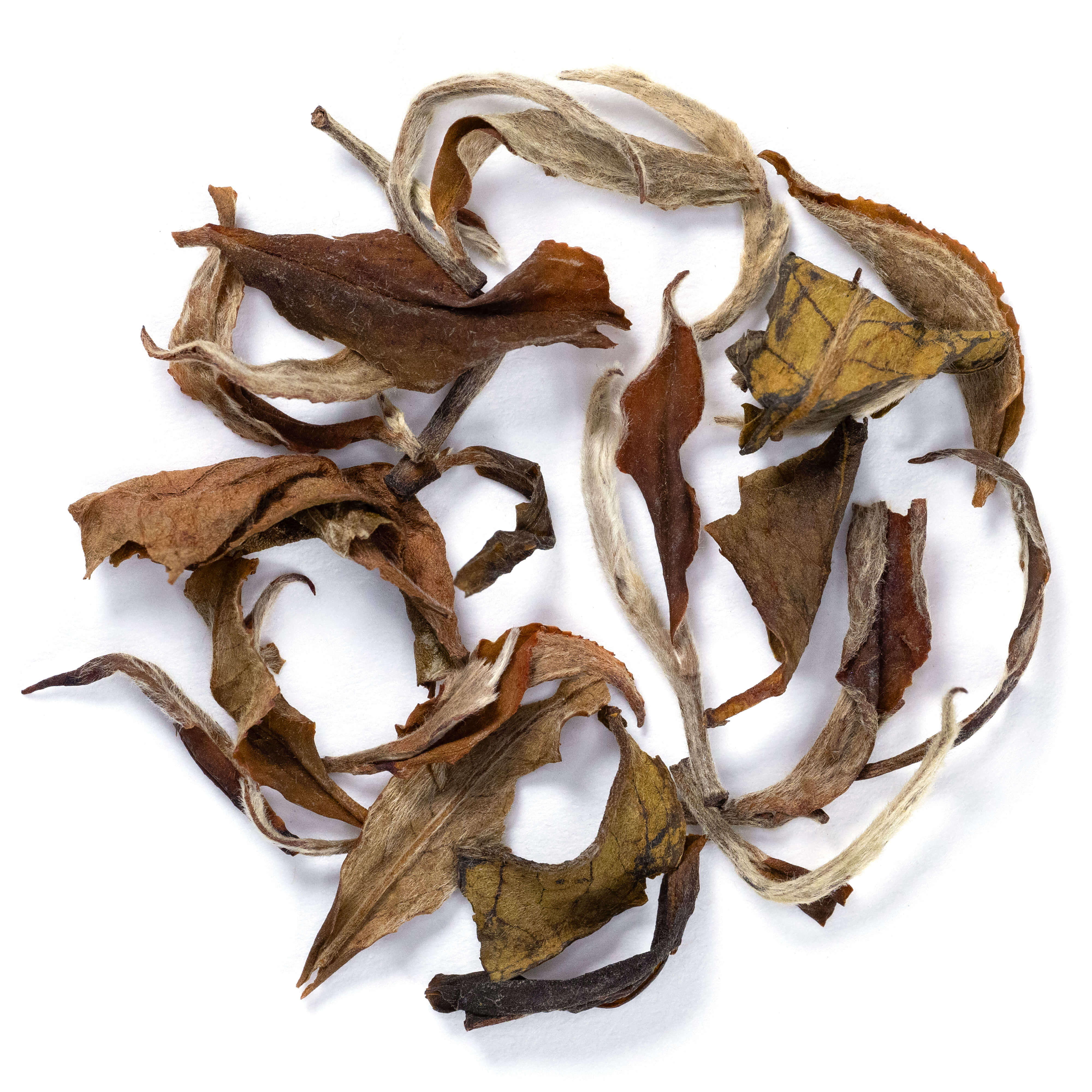 White Darjeeling Tea 1oz