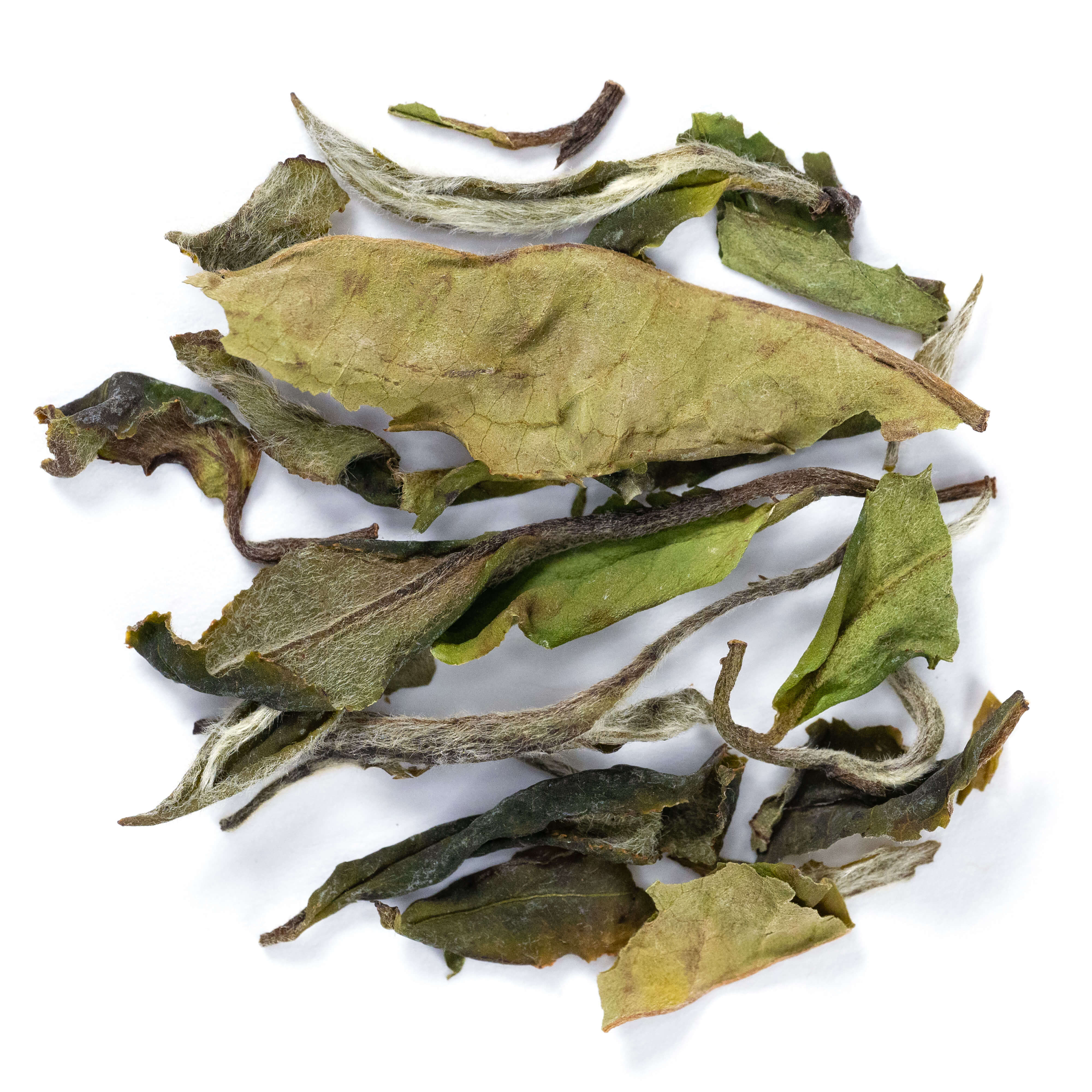 Adagio Teas White Symphony 1oz