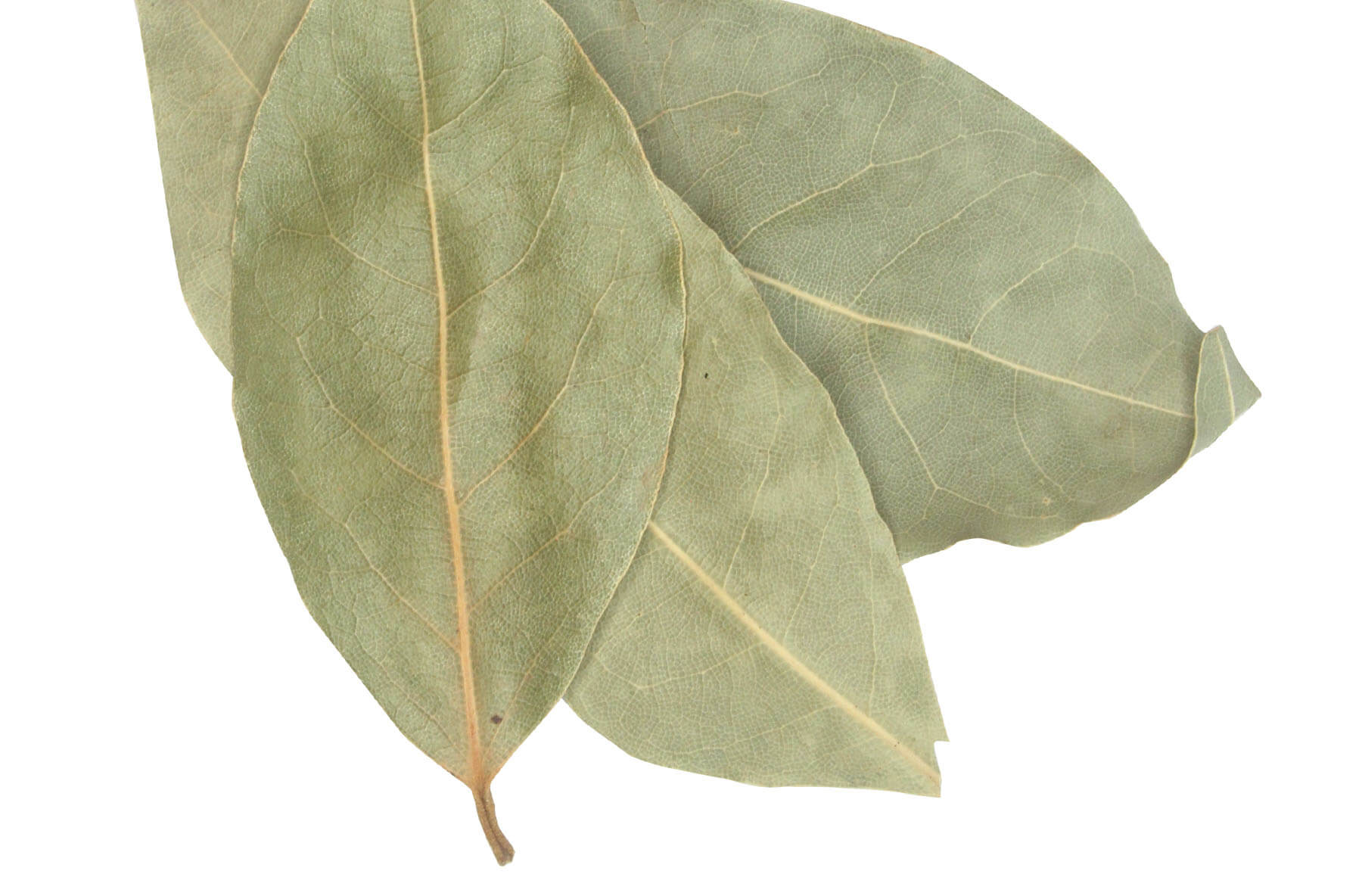 Bay Leaf Laurel Whole 1oz