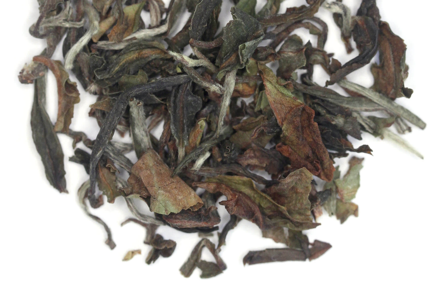 Spring Darjeeling First Flush Tea 2oz