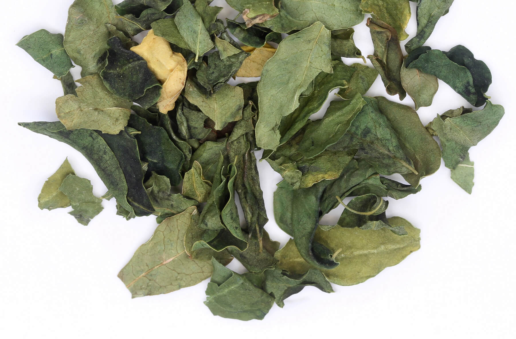 Moringa Tea