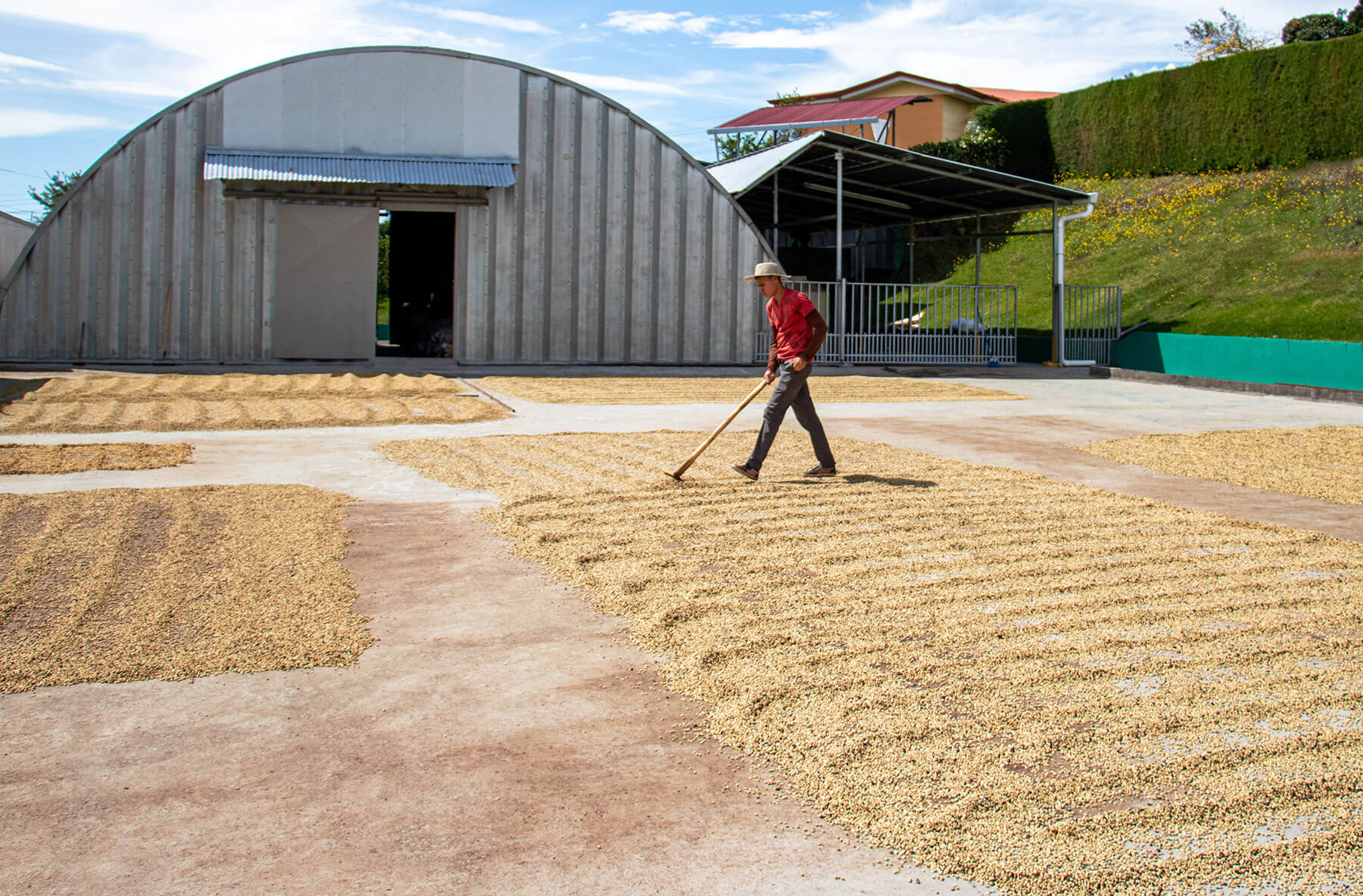 Costa Rica Herbazu Tipica Honey Coffee