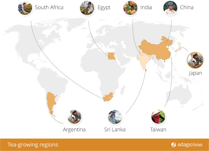 tea growing region