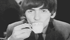 tea talk preview