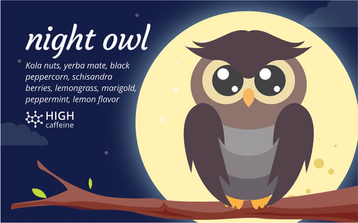 The Night Owl 